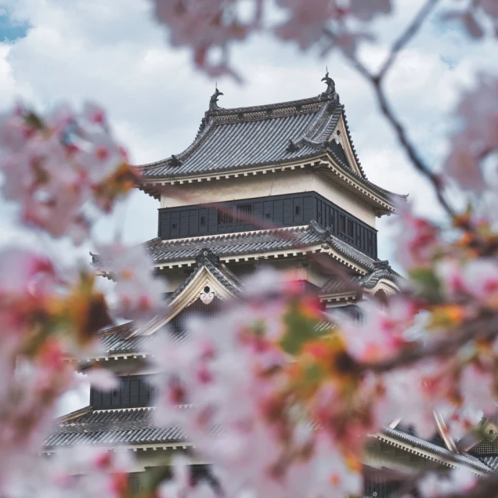 Experiențe autentice în Japonia